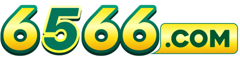 6566 Logo